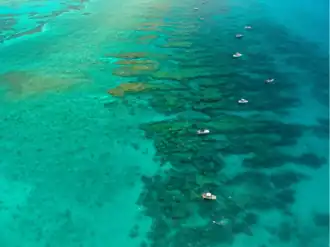 Aerial view of a coral reef with boats anchored over it,
