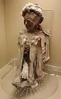 Mummy of a Chilean Atacaman man, c. 4700–3400 years before present.