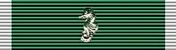 Gallant Ship Citation Ribbon