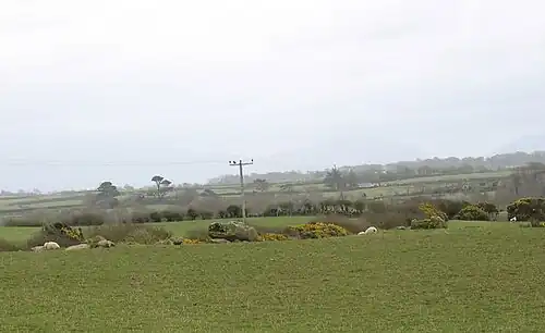 Maen Cwyf Stone - geograph.org.uk - 1231093.jpg