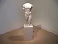 Marble torso of Apollo