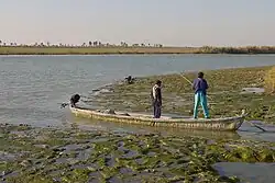 Iraqi fishermen in Basra, 2008