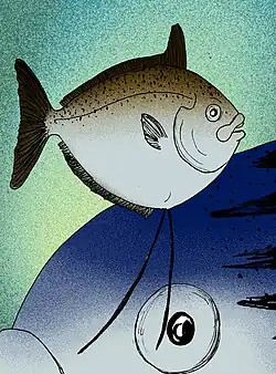 Artist's reconstruction of Mene oblonga