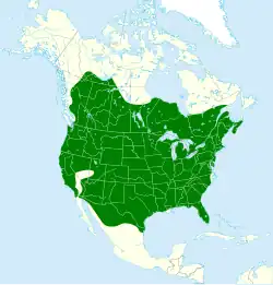 Map showing distribution of striped skunk in North America