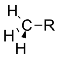 An arbitrary methyl group.