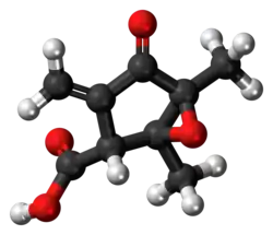 Ball-and-stick model of the methylenomycin A molecule