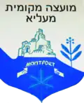 Official logo of Mi'ilya