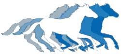 Minnesota Fillies logo