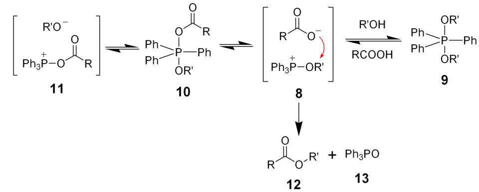 The latter stages of the mechanism proposed for the Mitsunobu reaction.