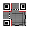 Model 1 QR code functional regions