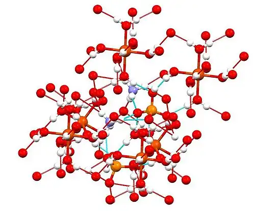 The same structure with hydrogen bonding network highlighted.