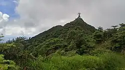 Mount Actaeon, topped by a Norfolk pine
