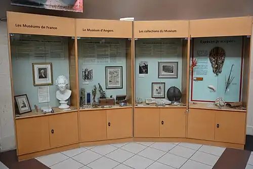 Exhibits in the round courtyard, Muséum d'Angers