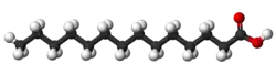 Ball-and-stick model of myristic acid