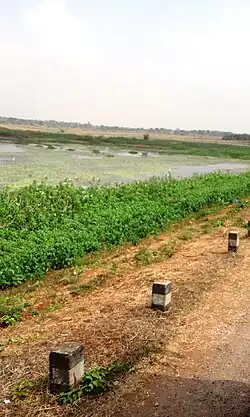 Mysore road from H.D. Kote