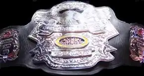 A championship belt with a silver front plate