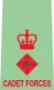 Lieutenant Colonel