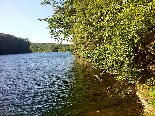 Narragansett Trail - south end of Green Fall Pond looking north.
