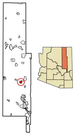 Location of Holbrook in Navajo County, Arizona