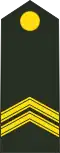 Sergeant-majoor (Royal Netherlands Army)[33]
