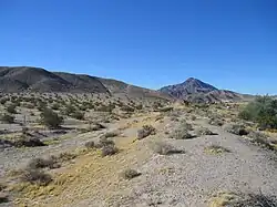 Photograph of desert plains with shrubs and a hill