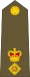 New Zealand Army (Lieutenant Colonel)