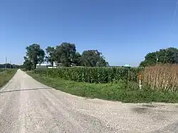 Newman at junction between Bridge and Newman Road (2025)