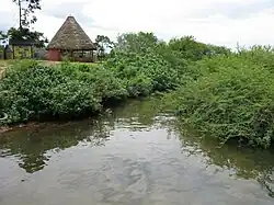Ngamba Island Chimpanzee Sanctuary - Camp.