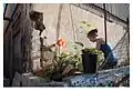 Gardening in the city, Florentin, 2013