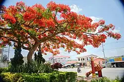 A small park beside the Union Road (May 2020)