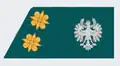 Oberleutnant (Tirol) (1st Lieutenant - Tyrol)