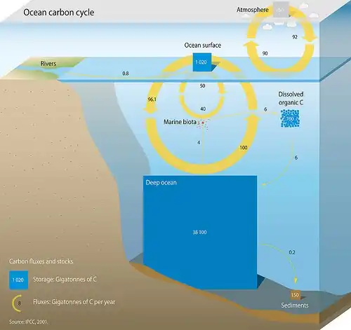 Marine carbon cycle[410]