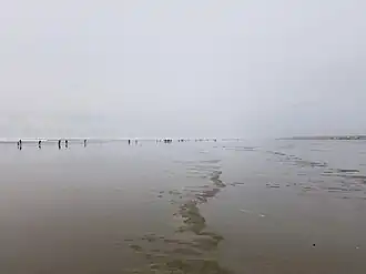 Low tide beach under overcast sky with tiny silhouettes of people in the distance