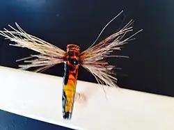 Male Orange Stone Fly