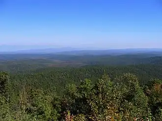 The view across Ouachita National Forest from atop the Standing Stairs Mountains.