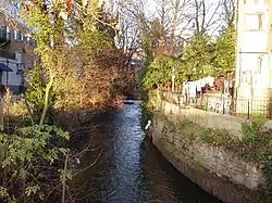 Outlet of Wraysbury River and River Colne