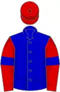 Blue, red sleeves, blue armlets, red cap