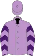 Mauve, purple chevrons on sleeves