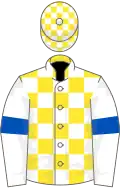 Yellow and White check, White sleeves, Royal Blue armlets