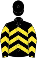 Black, yellow chevrons, black cap