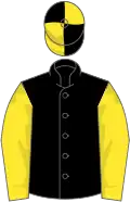 Black, yellow sleeves, quartered cap