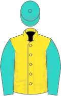 Yellow, turquoise sleeves and cap