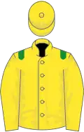 Yellow, green epaulets