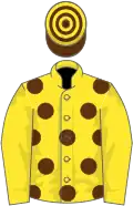 Yellow, brown spots, yellow sleeves, brown and yellow hooped cap