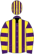 PURPLE, Yellow stripes, Purple sleeves and Yellow hoop, Purple cap