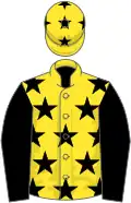 Yellow, black stars and sleeves