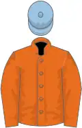 Orange, orange sleeves, light blue cap