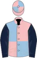 Pink and light blue quartered, dark blue sleeves, pink and light blue quartered cap