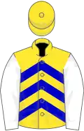 Yellow, blue chevrons, white sleeves, yellow cap