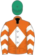 Orange, white diamond, white chevrons on sleeves, emerald green cap